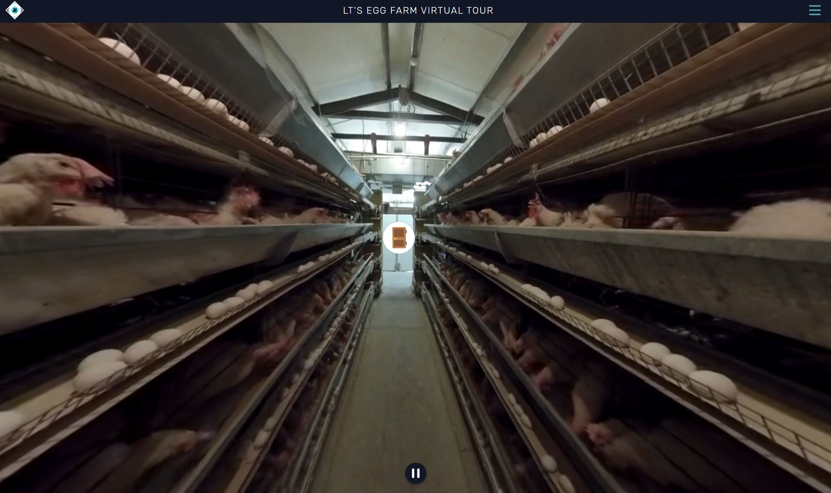 Chicken Farm VR